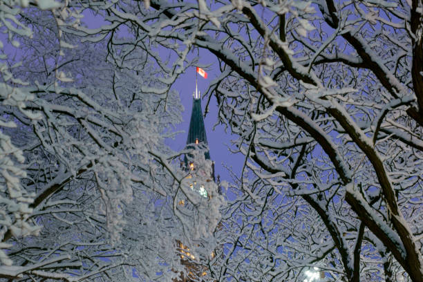 Canadian Parliament Building in Winter Viewed from the Front