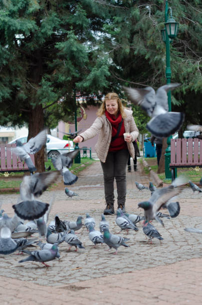 istock Blond woman is feeding pigeons 1136179413