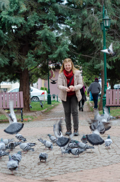 istock Blond woman is feeding pigeons 1136179428
