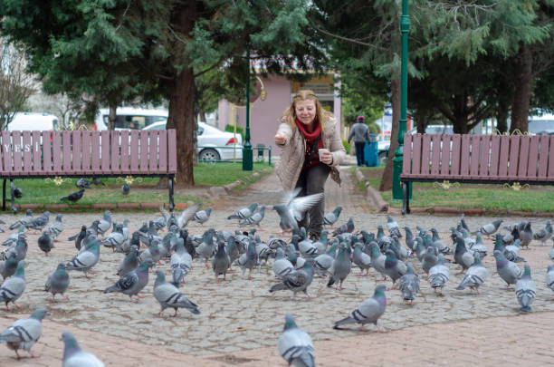 istock Blond woman is feeding pigeons 1136179429