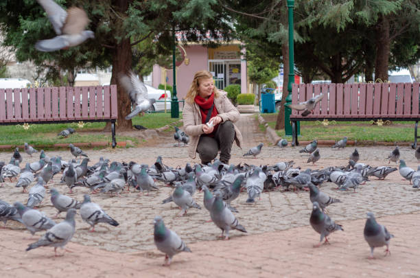istock Blond woman is feeding pigeons 1136179618