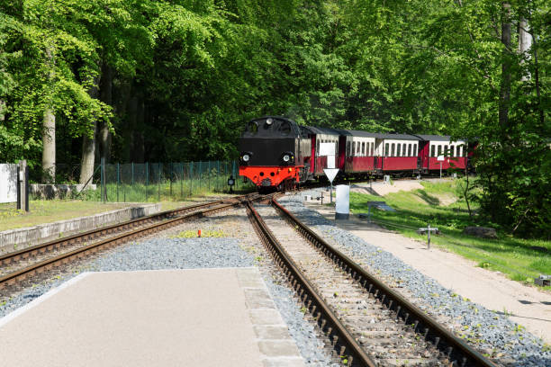 istock Steam locomotive with passenger wagens 1136182826