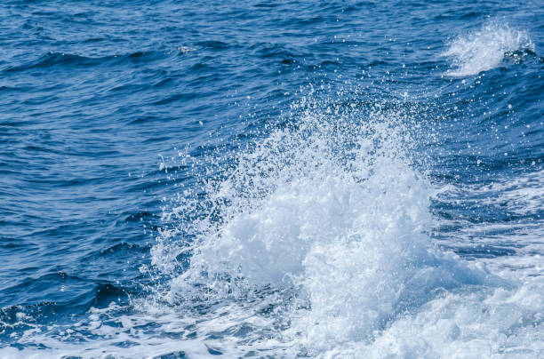 istock Splash of water for background 1136191802