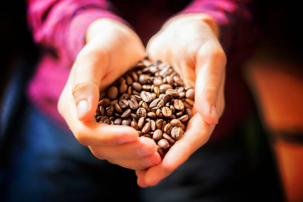 人の手は、香りのコーヒーの種子がクローズアップ b を保持します - caffeine macro close up bean ストックフォトと画像