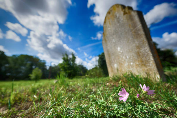 Montreal, Canada - May 20 , 2002 : Grave markers, tombstones blossoming trees, grass,