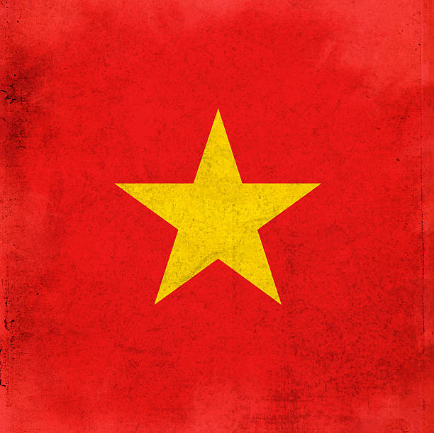 istock vintage flag of Vietnam 113619776
