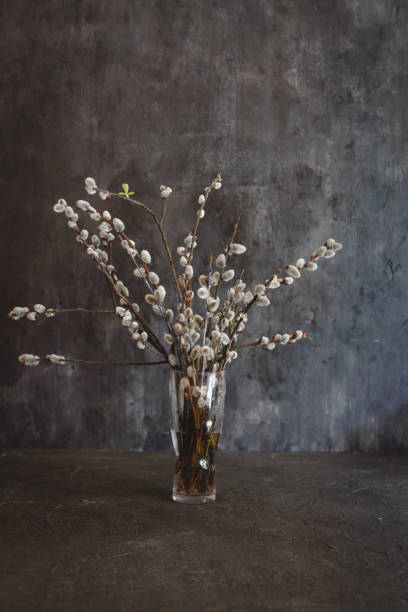 istock vase with willow flowers cats on a dark vintage background with space for text 1136198573