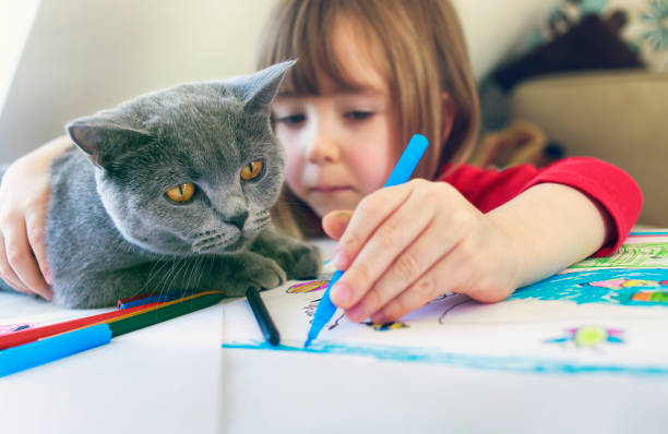Child with kitty drawing at home