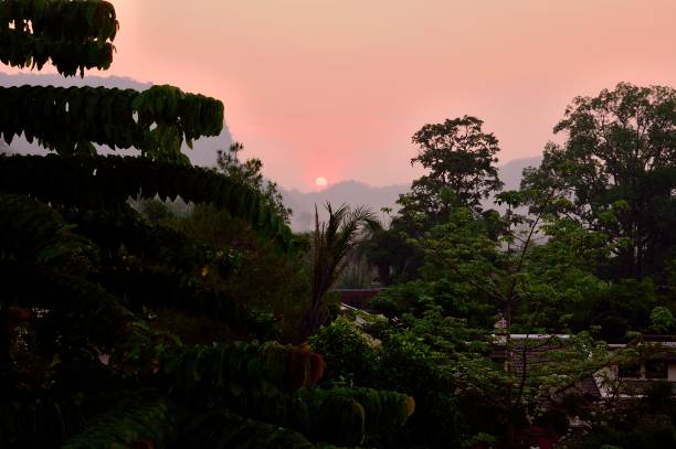 A nice sunrise in khao yai national park, thailand to start another day of vacation and birding