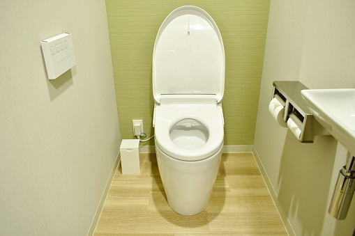 modern electric toilet and control pad on wooden wall in water closet