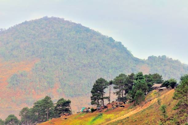 Thai Rural Farm Village