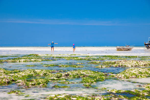 Father and Daughter Discovering the Idyllic white sand Beach during Low tide