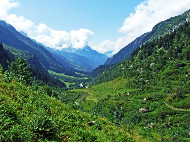istock The Alpine Valley of Maderanertal 1136213570