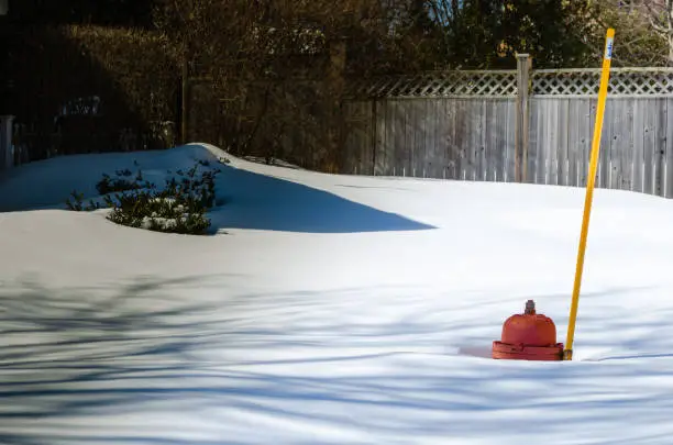 Photo of Fire hydrant poking out of deep snow with a fence and shrubs in the background