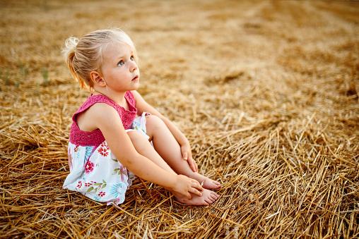 Little girl sitting in harvest field