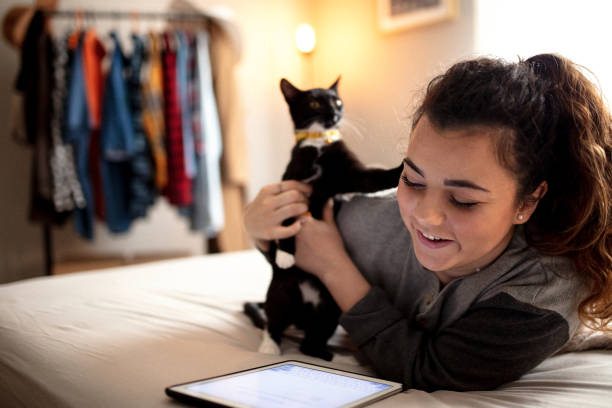 istock Woman in Bed with Cat 1136220496