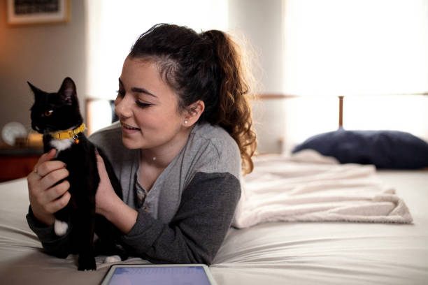 istock Woman in Bed with Cat 1136220503