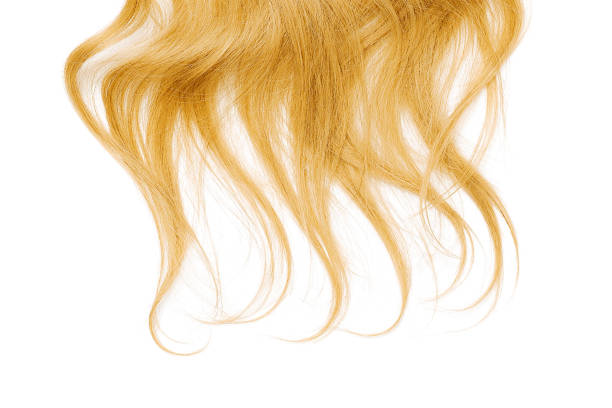 Close up blond curly female hair