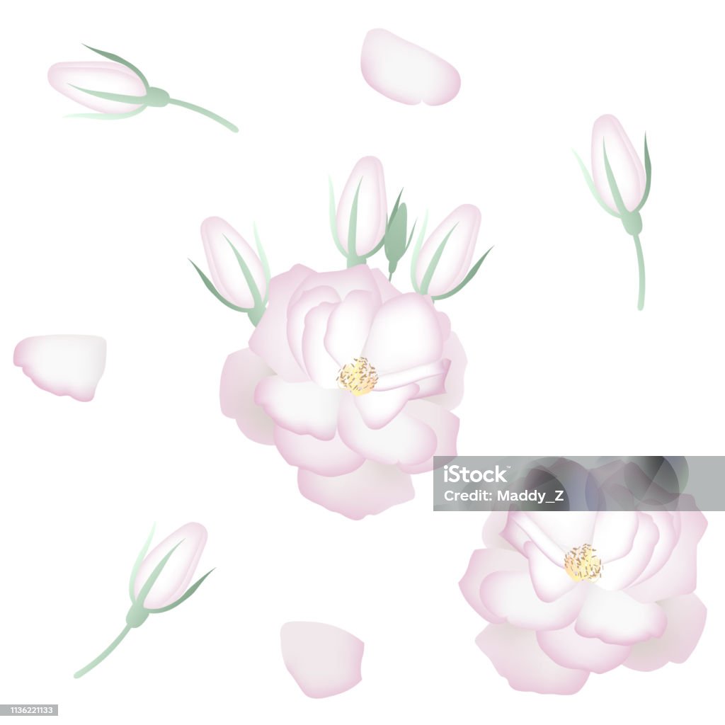 Set of realistic white roses, petals and buds. Decor elements Set of realistic white roses, petals and buds. Decor elements. Arrangement stock vector