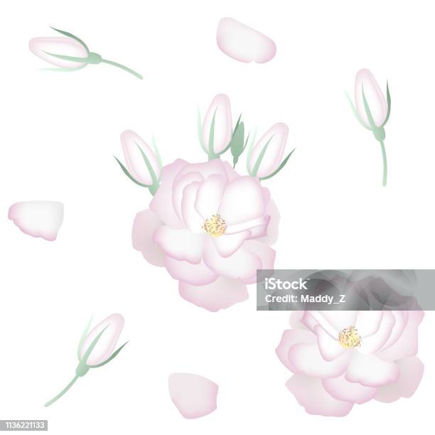 Set Of Realistic White Roses Petals And Buds Decor Elements Stock Illustration - Download Image Now