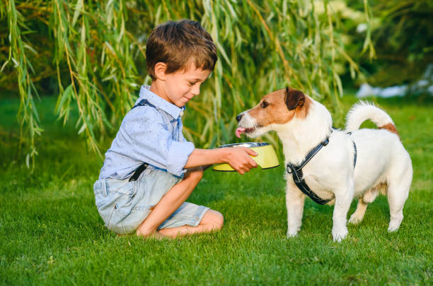 彼の喉の渇いたペットの犬を水に手で犬のボウルを保持する小さな男の子 - preschooler caucasian one person part of ストックフォトと画像