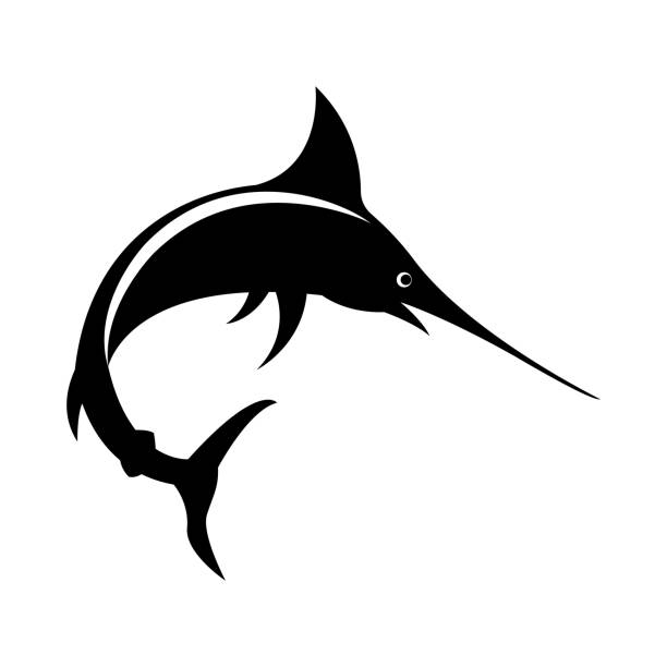 ilustrações de stock, clip art, desenhos animados e ícones de vector, isolated, flat image of fish marlin on a white background - marlin sailfish nature saltwater fish