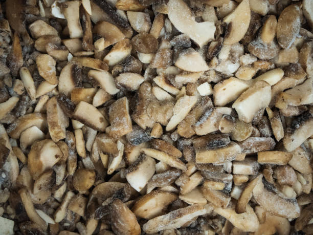 cogumelos congelados no refrigerador na loja - edible mushroom frozen variation ice - fotografias e filmes do acervo