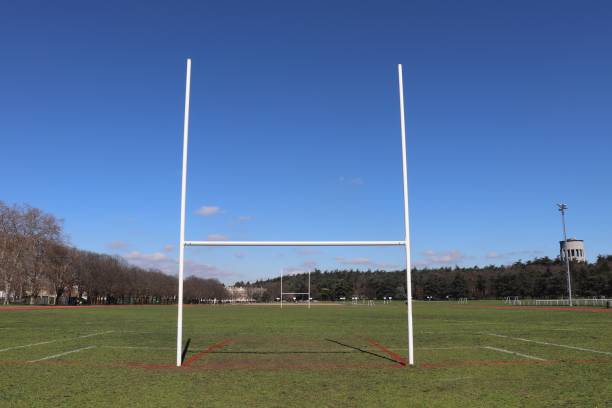 istock RUGBY Field and Poles 1136222322