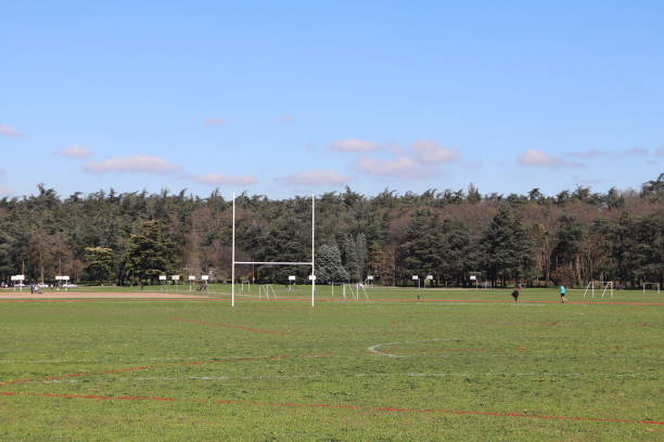 istock RUGBY Field and Poles 1136222350