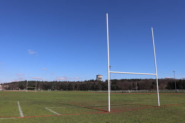 istock RUGBY Field and Poles 1136222408