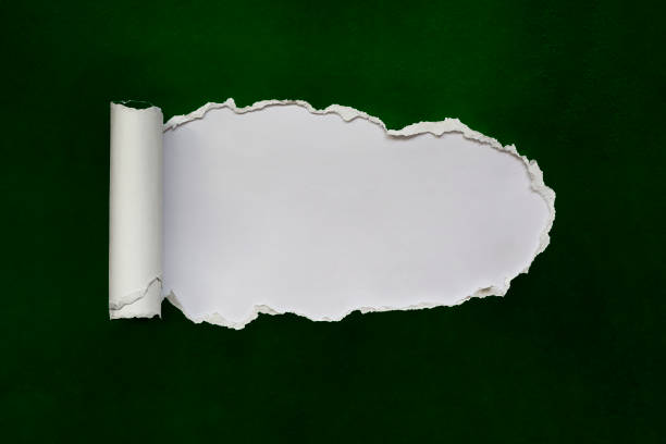istock Green paper with page curl. 1136228328