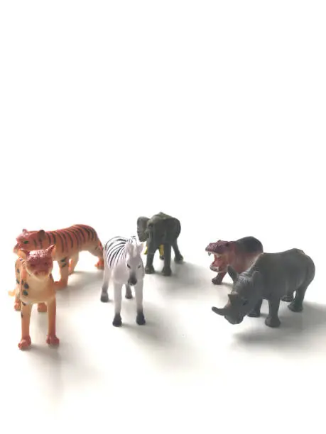 Photo of Wildlife toys