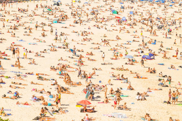 vue aérienne de la plage de bondi, australie - bain de soleil photos et images de collection