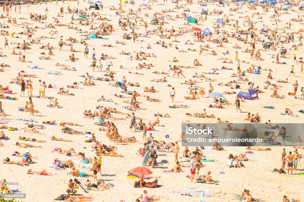 Aerial view of the Bondi Beach, Australia Beach Stock Photo