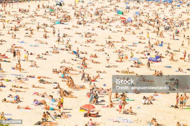 Aerial View Of The Bondi Beach Australia Stock Photo - Download Image Now - Beach, Australia, Heat - Temperature