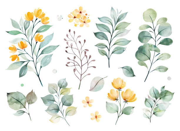 Texture with greens,branch,leaves,yellow flowers,foliage. Watercolor green collection.Texture with greens,branch,leaves,yellow flowers,foliage.Perfect for wedding,invitations,greeting cards,quotes,patterns,bouquets,logos,Birthday cards,your unique creation. tree clipart stock illustrations