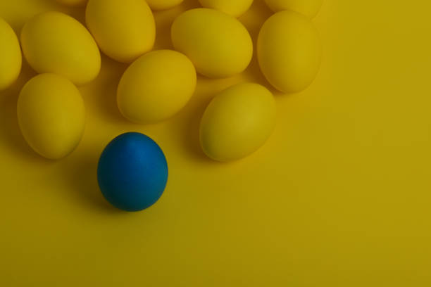 istock One blue painted Easter egg stands in front of yellow eggs 1136231652