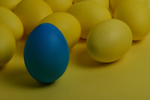 istock One blue painted Easter egg stands in front of yellow eggs 1136231659