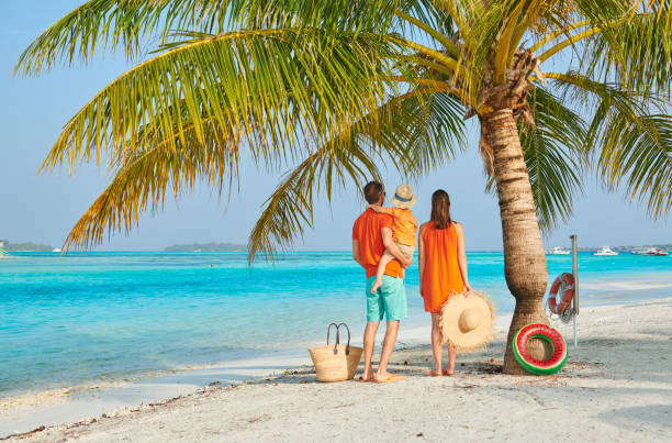 istock Family of three on beach under palm tree 1136231744