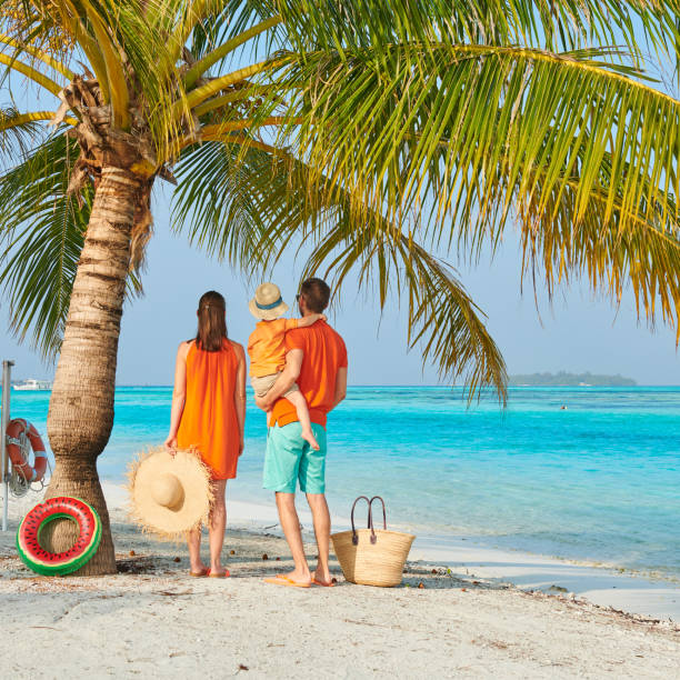istock Family of three on beach under palm tree 1136231754