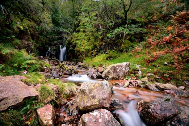 istock Scales Beck flowing from Scales Force 1136232632