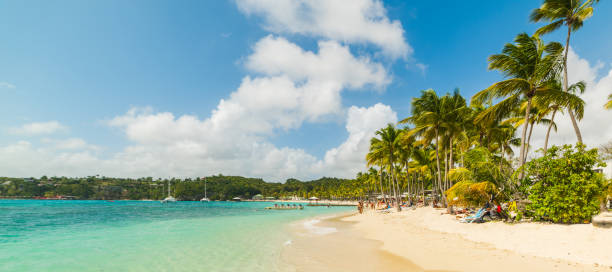 istock La Caravelle beach in Guadeloupe 1136233617