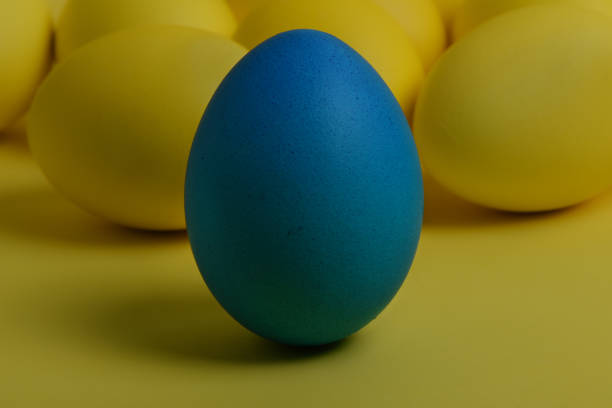istock One blue painted Easter egg stands in front of yellow eggs 1136233922