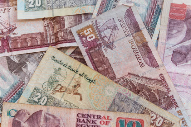 istock Background of different egyptian pounds banknotes. Egyptian currency 1136235108