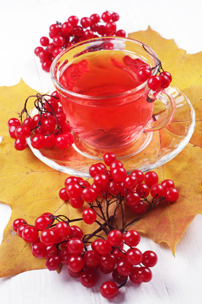 istock Cup of red tea and viburnum berries 1136235165