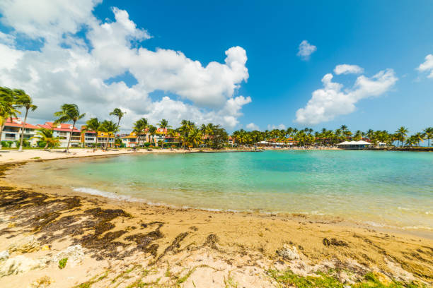 istock Bas du Fort beach in Guadeloupe on a sunny day 1136235339