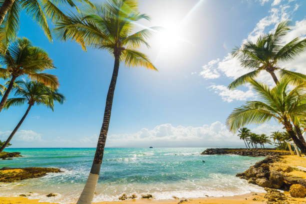istock Small cove in Bas du Fort in Guadeloupe 1136235360