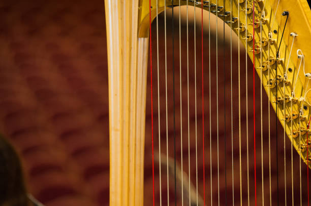 istock The stage is ready for the orchestra 1136237538