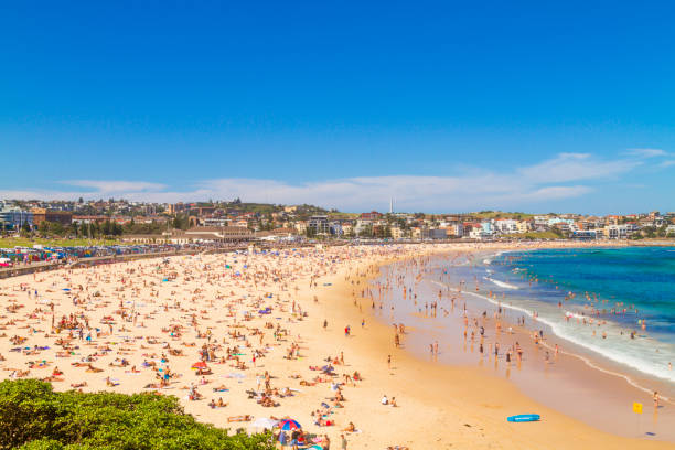 istock Bondi beach's landscape in Sydney, Australia 1136238737