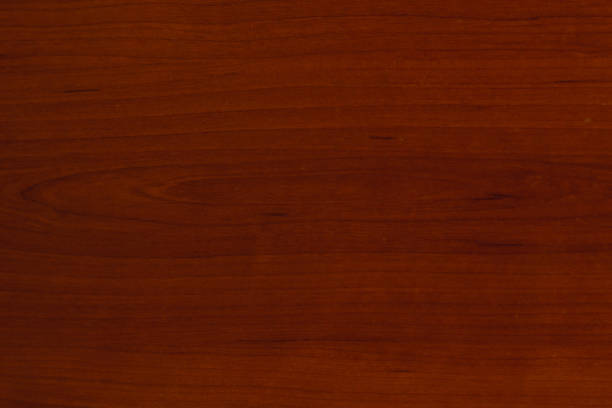 istock Texture of bark wood 1136238742